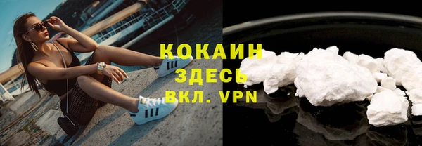сатива Армянск